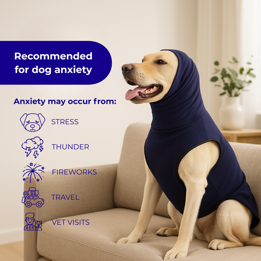 Luvoral CalmVest™