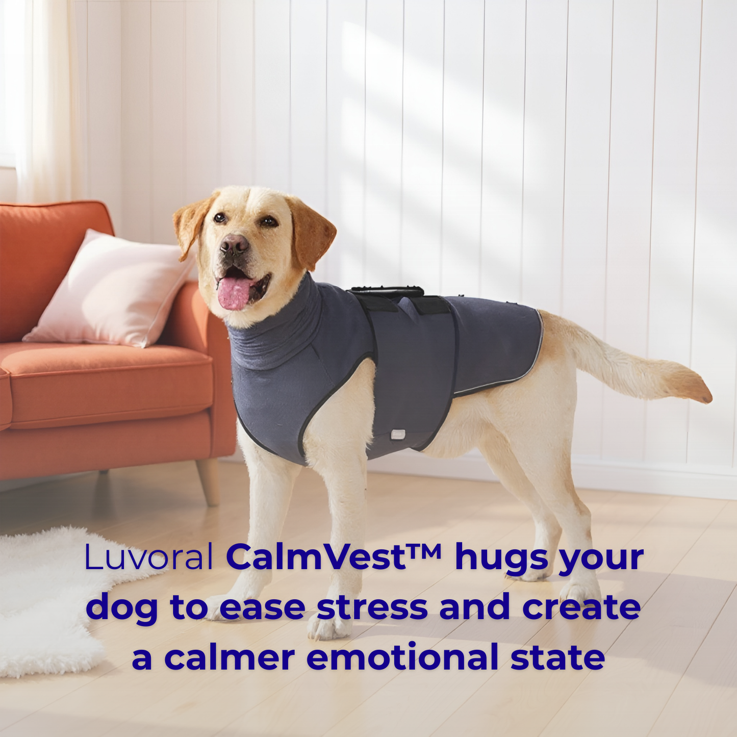 Luvoral CalmVest™